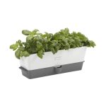 Cole & Mason Self-Watering Triple Potted Herb Keeper - H105349