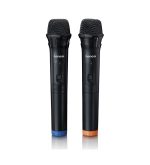 LENCO PA-220BK P.A.with Subwoofer & Detachable Tweeter Column & 2 Mics - Image 5