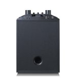 LENCO PA-220BK P.A.with Subwoofer & Detachable Tweeter Column & 2 Mics - Image 7