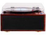 041650 - TREVI 30W TURNTABLE WOODEN - Image 4