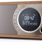 SHARP Mono digital radio – Brown (SDR-450BR)