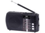 024356 - TREVI BT RECHARGEABLE 3 BAND RADIO